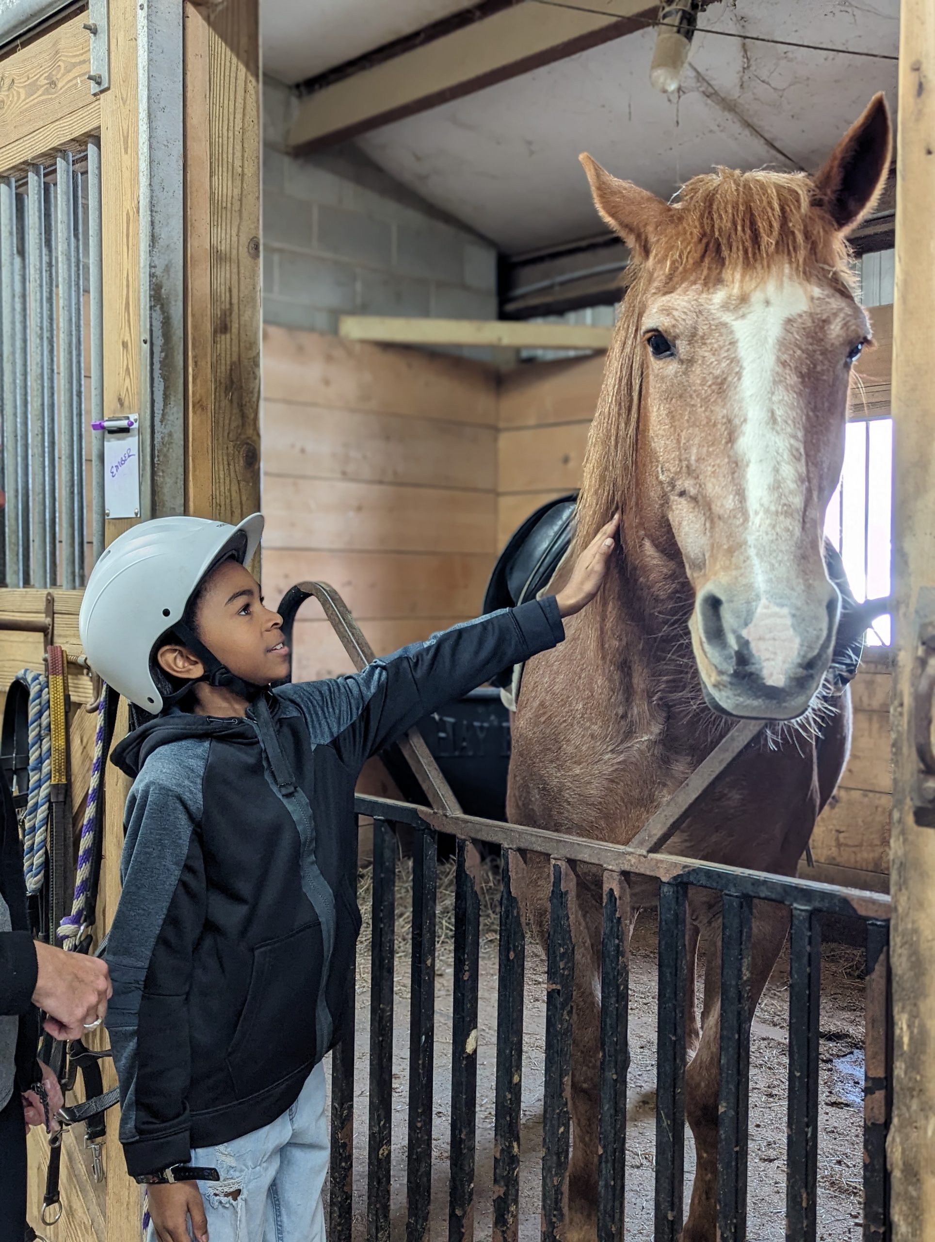 Therapeutic horseback riding restorative, empowering experience for district students
