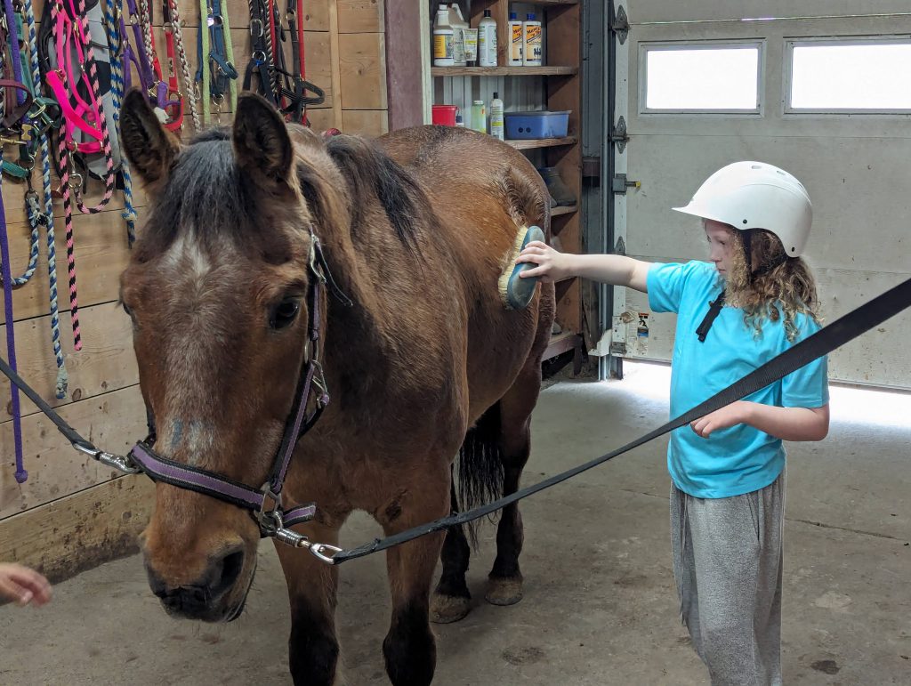 An intermediate school student in a white helmet gently brushes a brown horse in a stable with colorful harnesses hanging on the wall next to them.