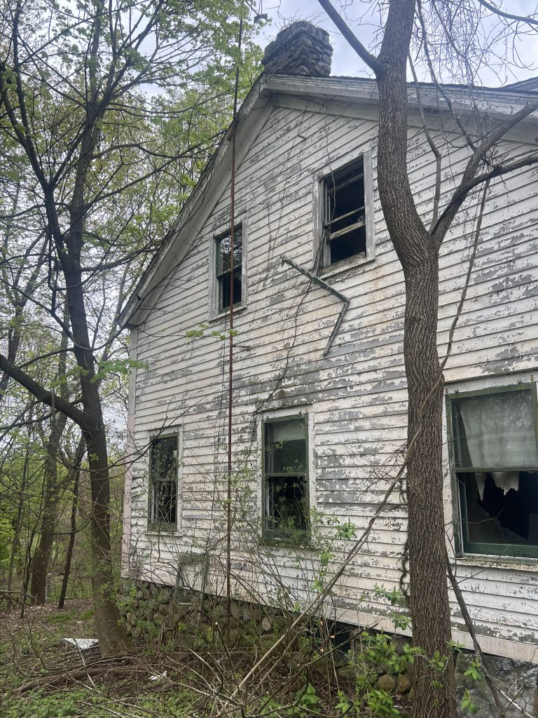 A side view of a house with chipped paint that is abandoned. The photo is through a few trees that have grown next to the side of the house. 