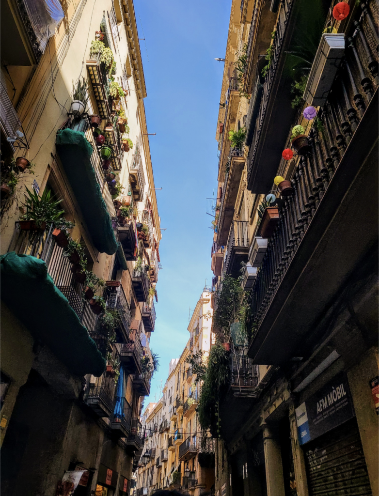 A photo looking up at empty balconies in a narrow street. The balconies have plants on them and it is a sunny blue sky. 