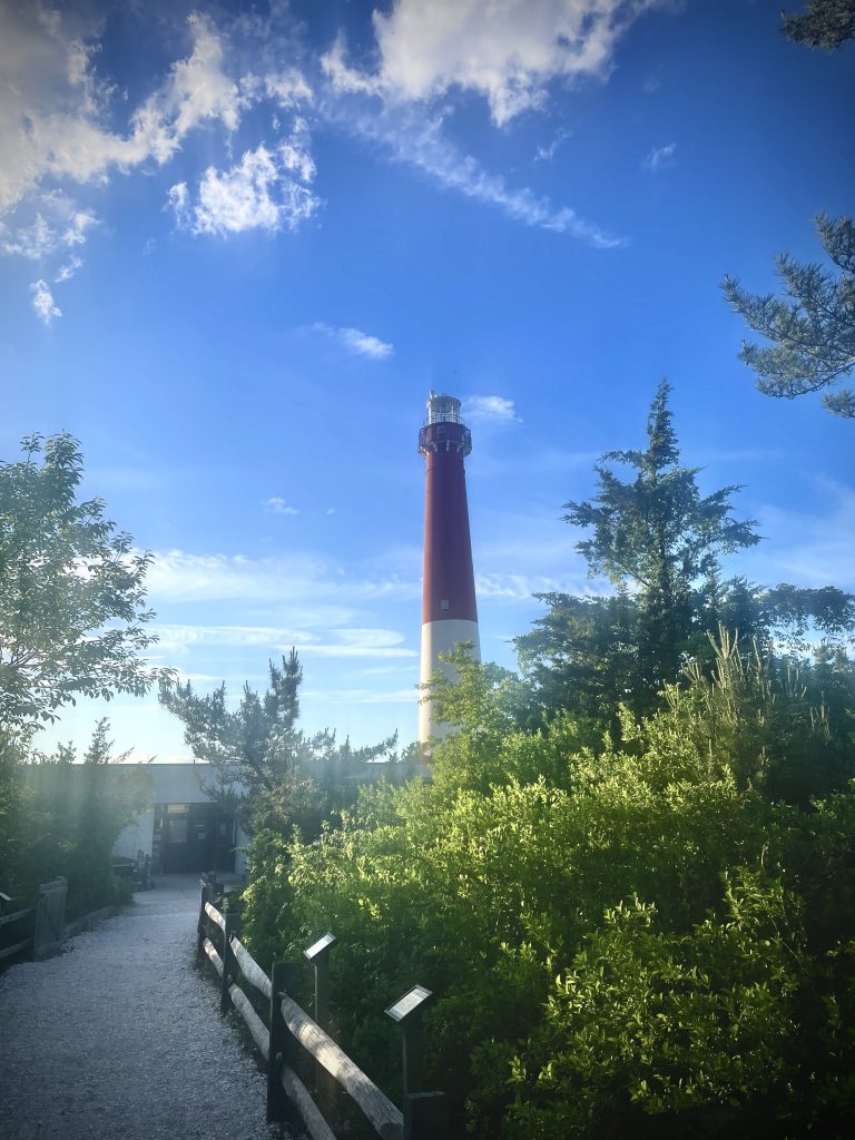 A lighthouse behind trees with a path leading to it with a fence along the path to the left of the trees. The sky is blue with a few clouds. 